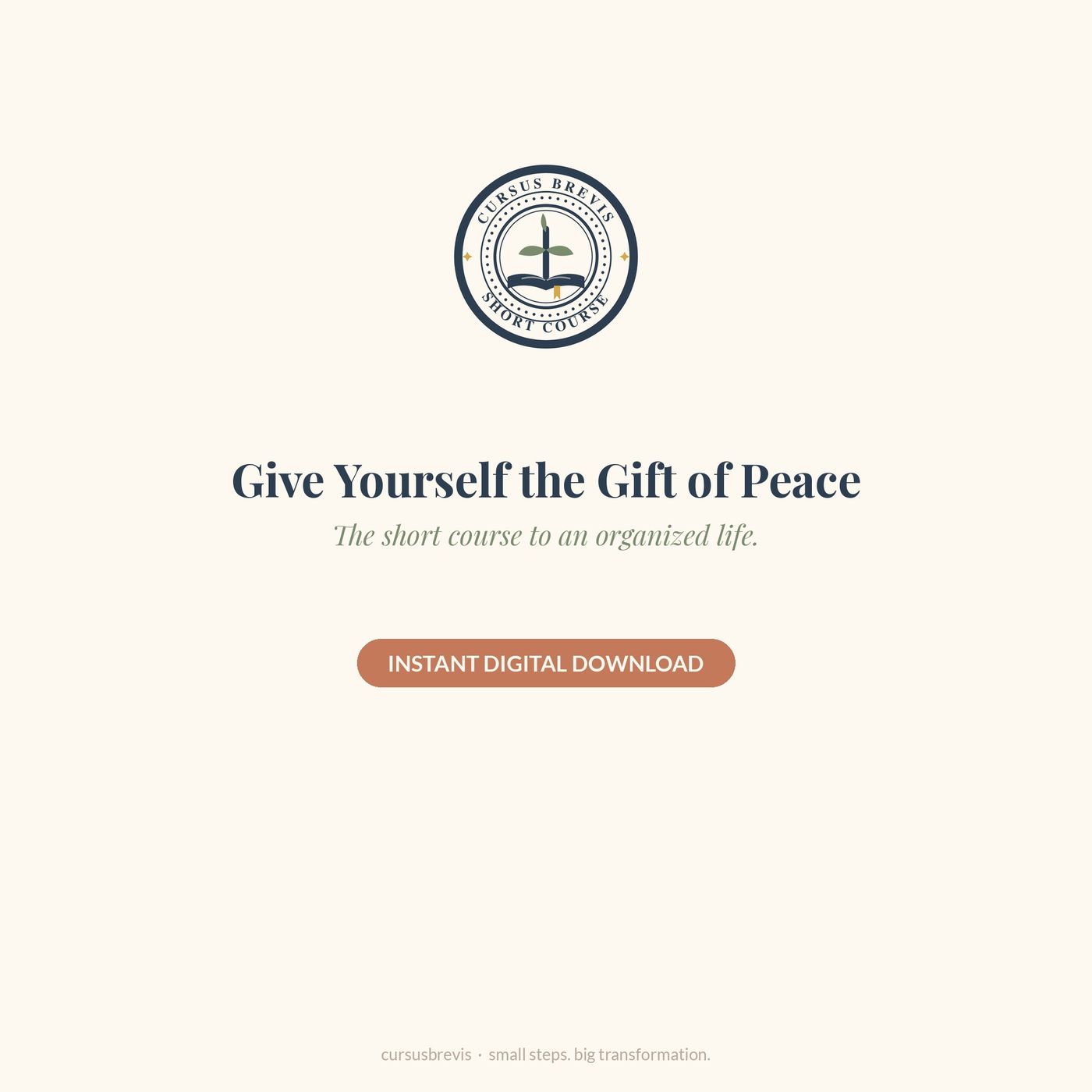 The Annual Budget Planner — preview 12
