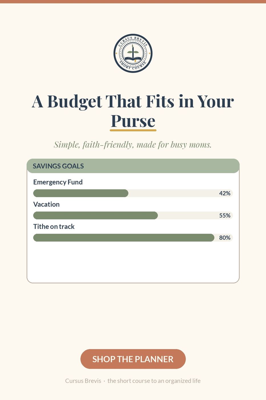 The Annual Budget Planner — preview 14