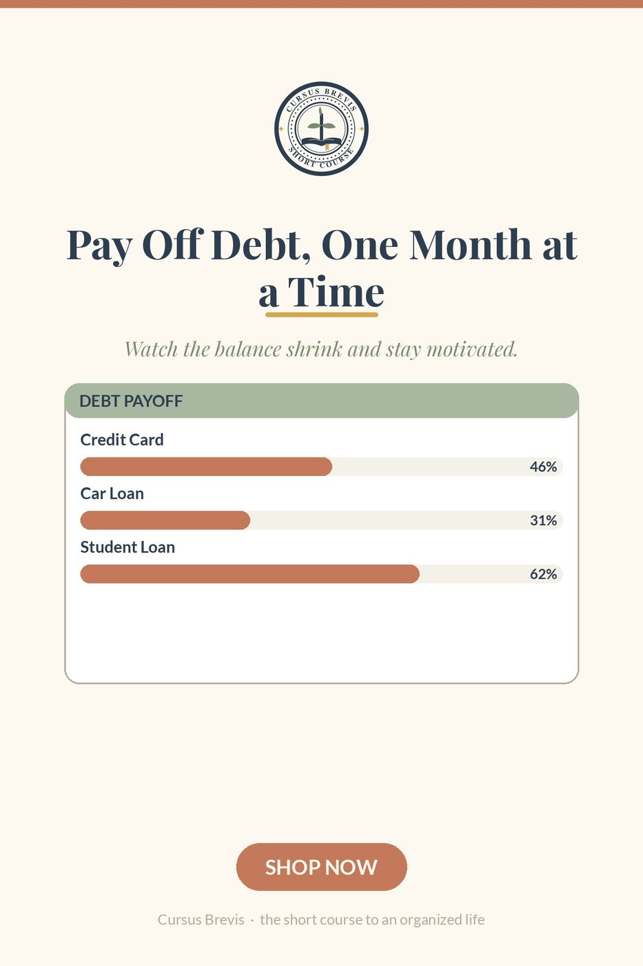 The Annual Budget Planner — preview 18