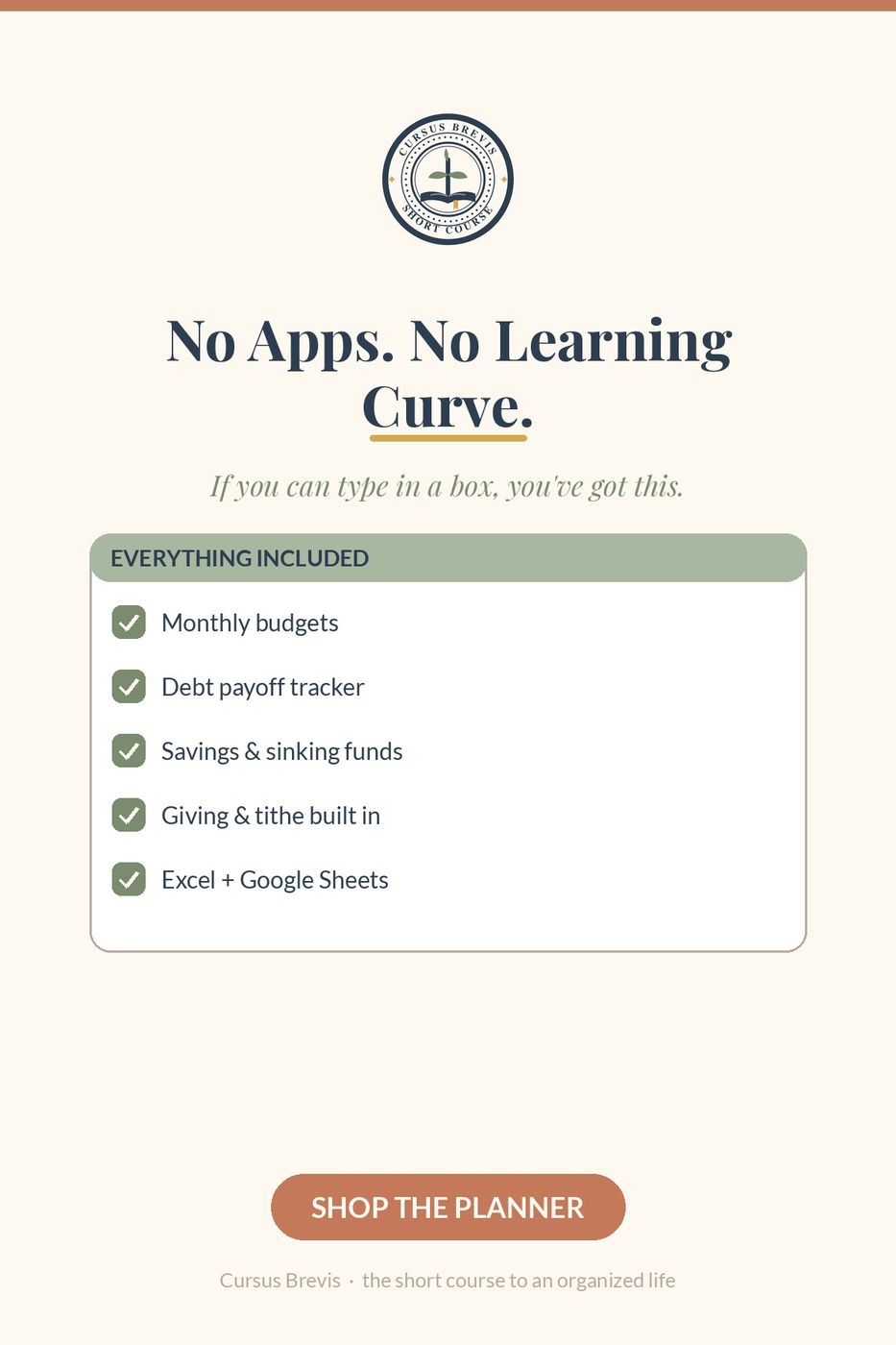 The Annual Budget Planner — preview 20