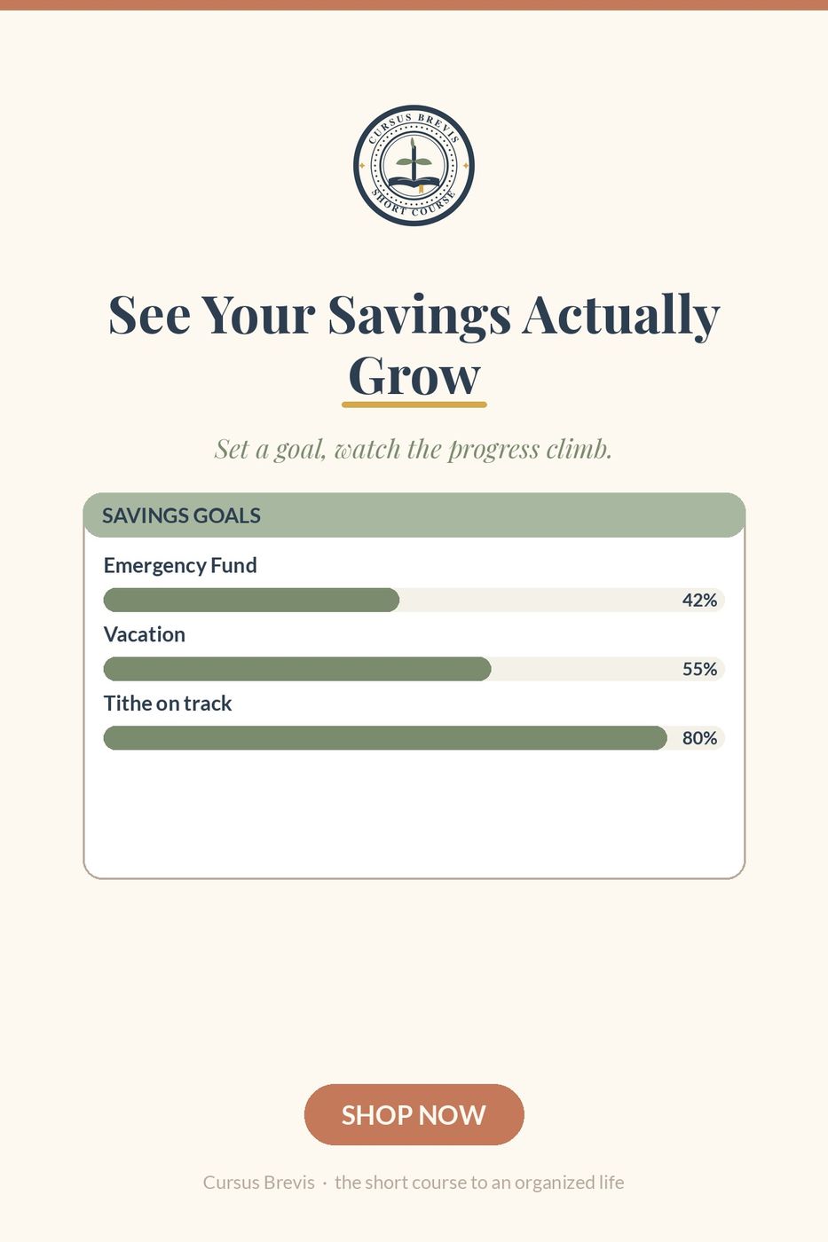 The Annual Budget Planner — preview 22