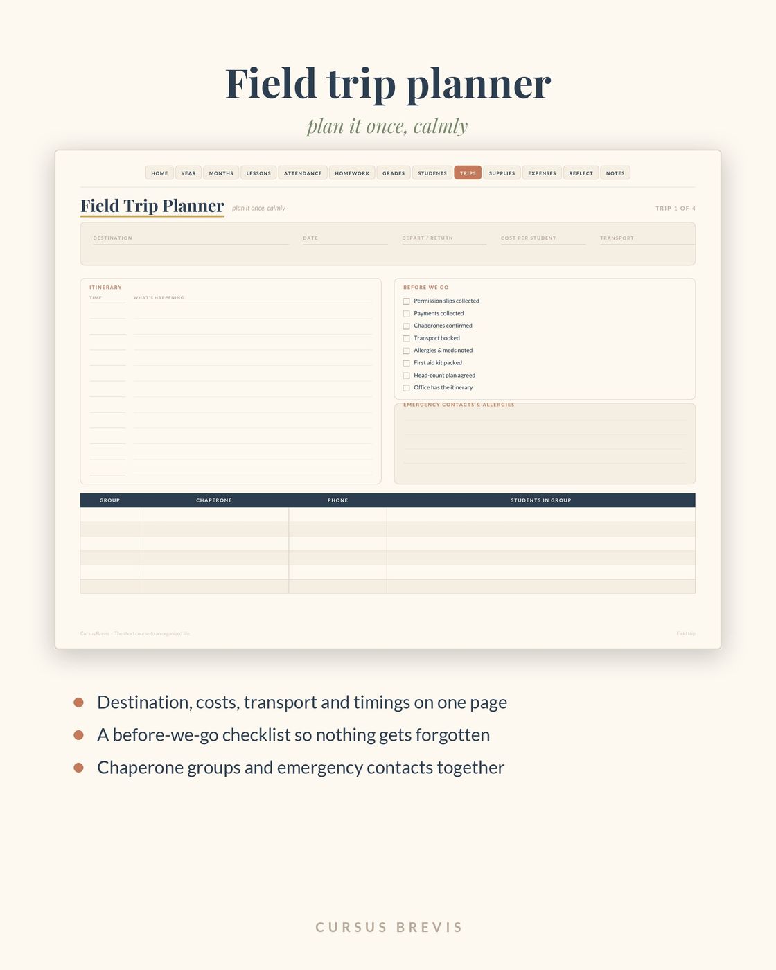 The Organized Teacher - Undated Teacher Planner — preview 12