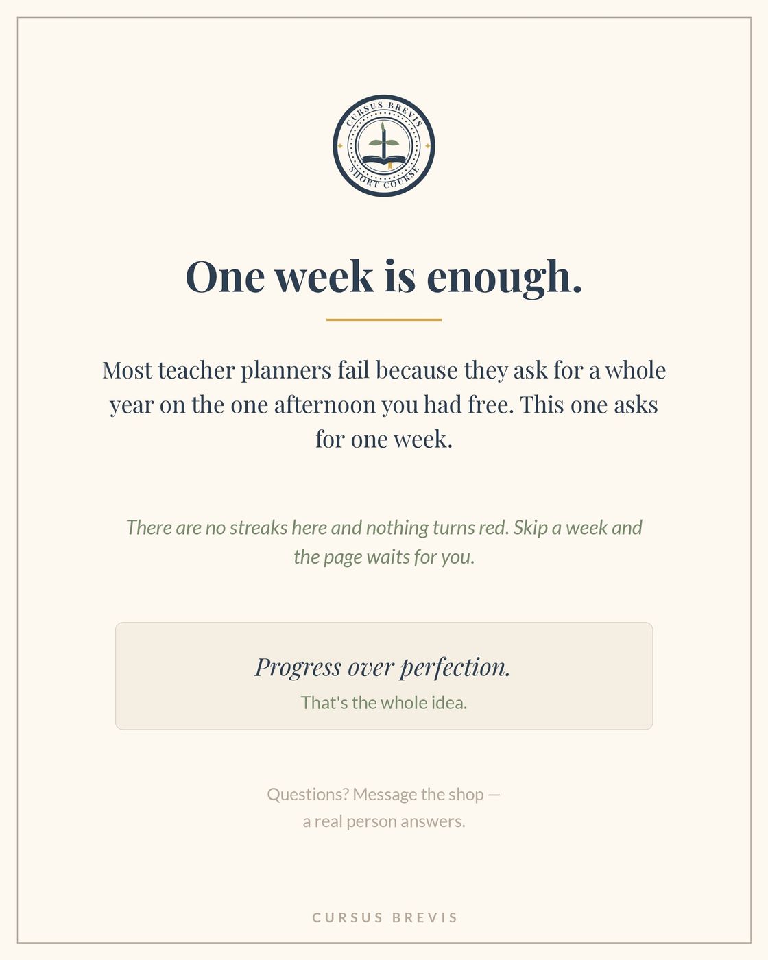 The Organized Teacher - Undated Teacher Planner — preview 21